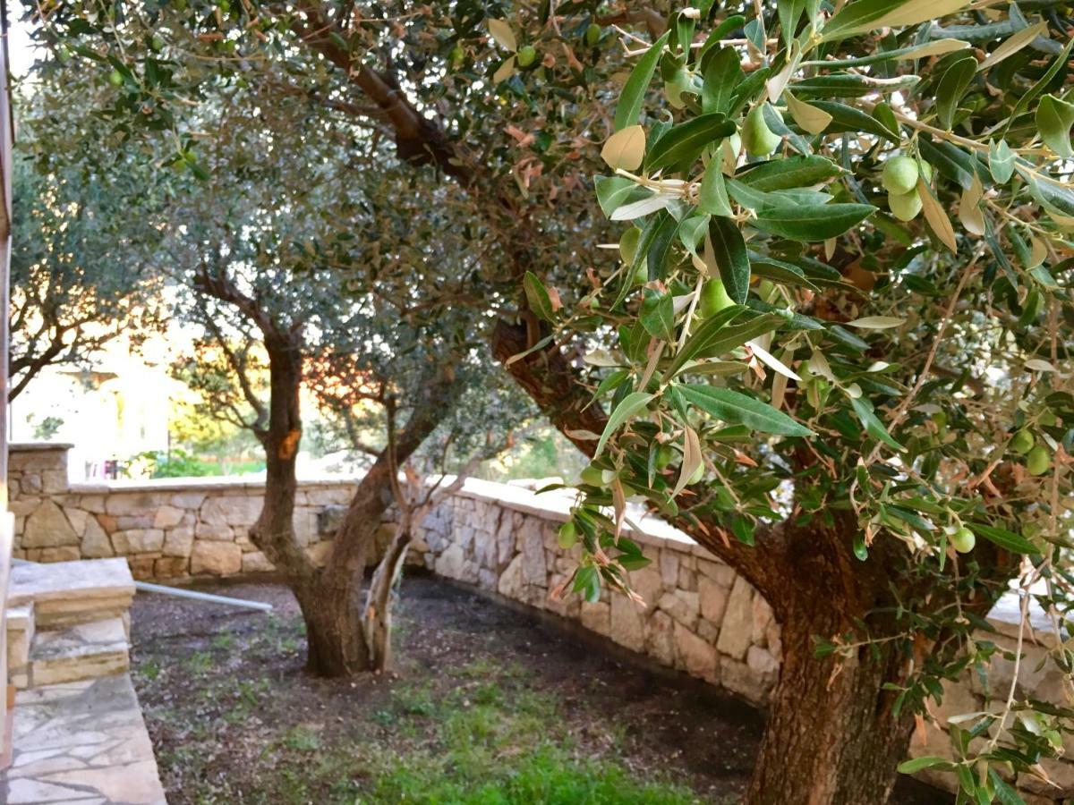 Appartamento Lavender House Maslenica Esterno foto